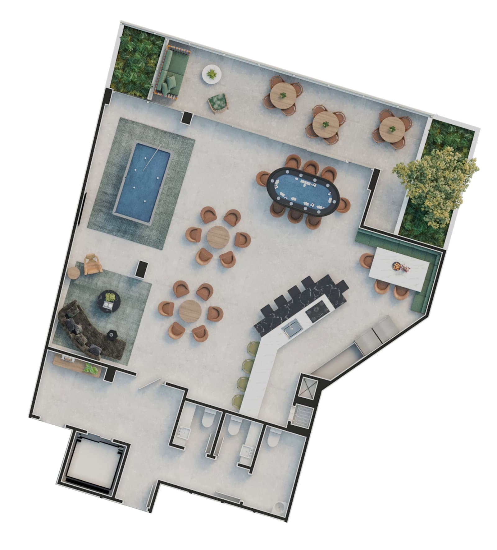 Planta 13 de Vivacità