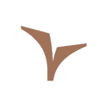 Logo Capitali