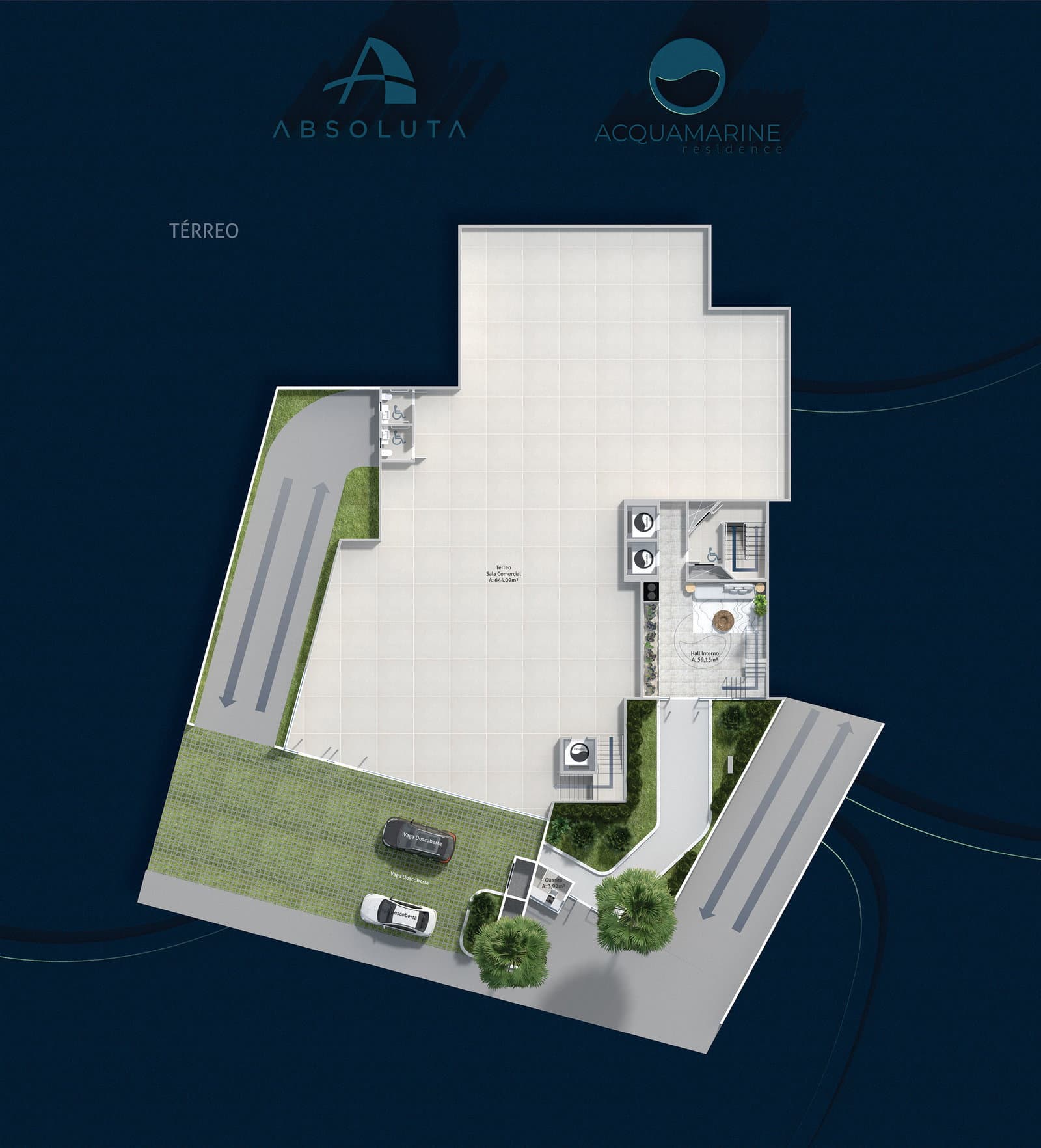 Planta 2 de Acquamarine