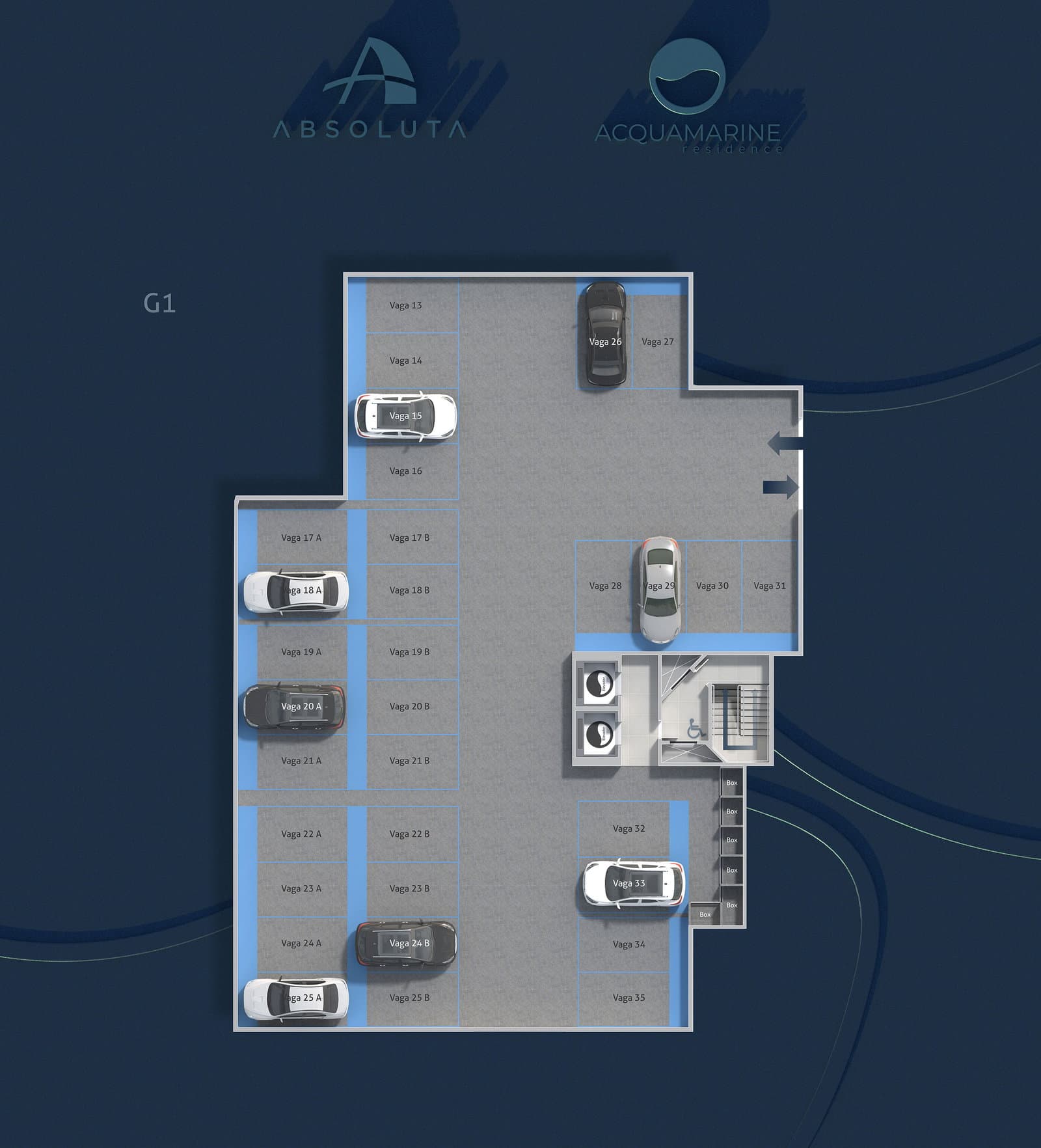 Planta 5 de Acquamarine