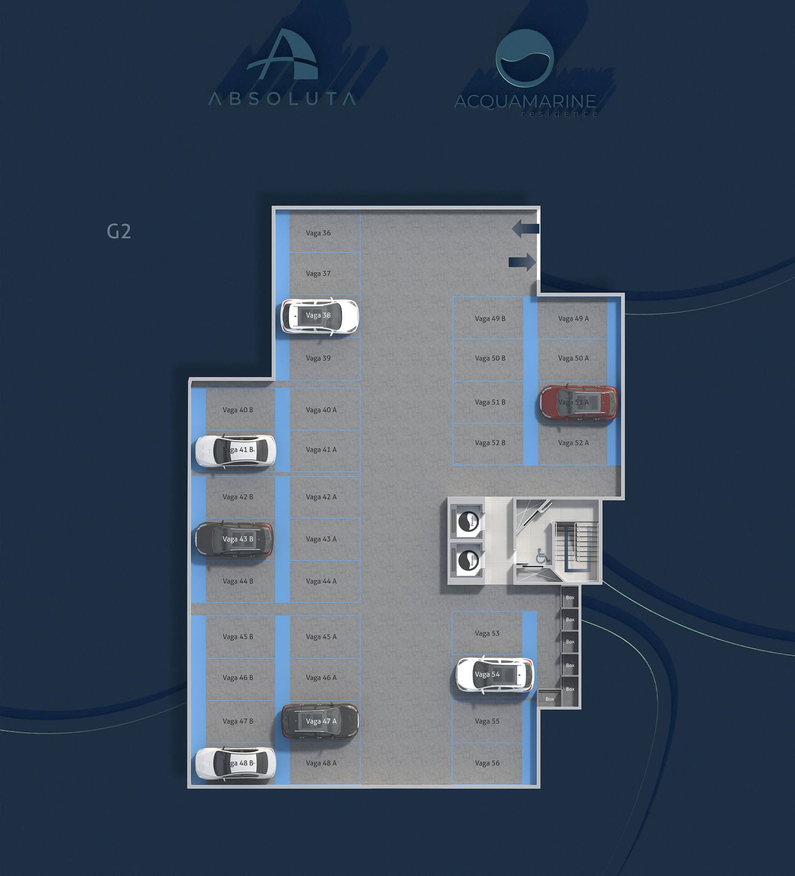 Planta 6 de Acquamarine