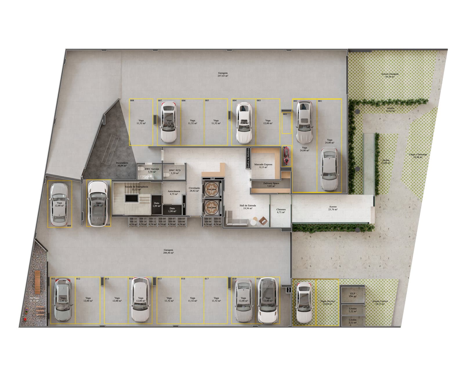 Planta 2 de Oiti