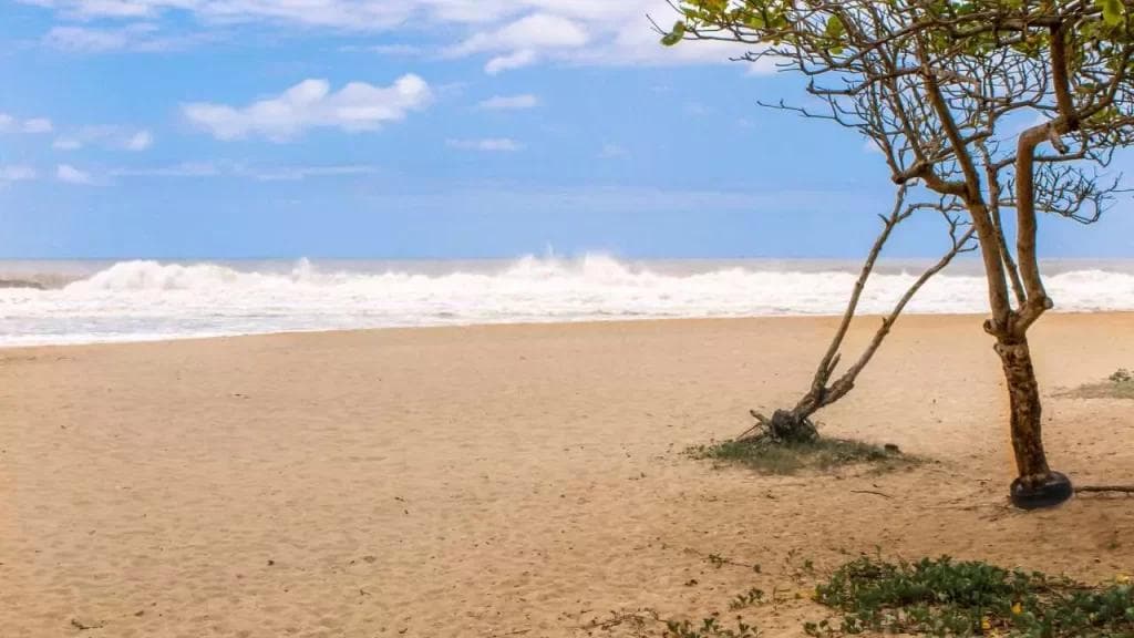 praia-brava