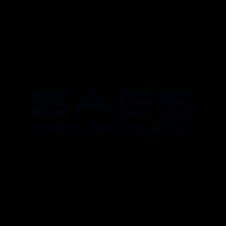 Logo Saes